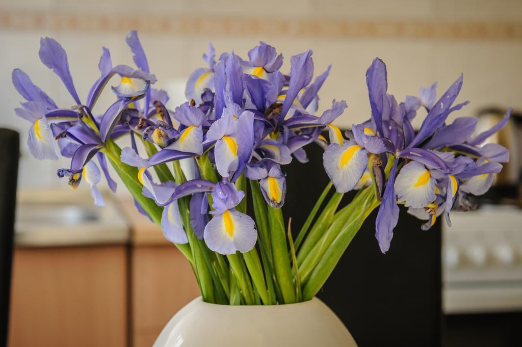 Apartment Lovmar Zadar Ngoại thất bức ảnh